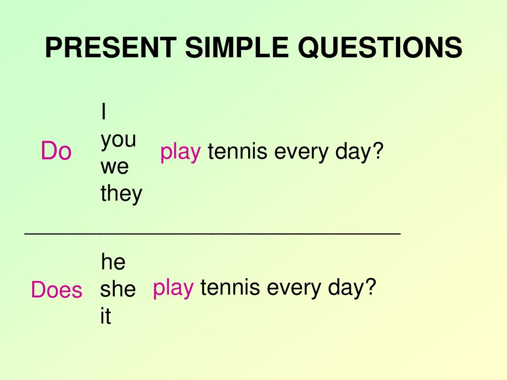 Present simple questions
